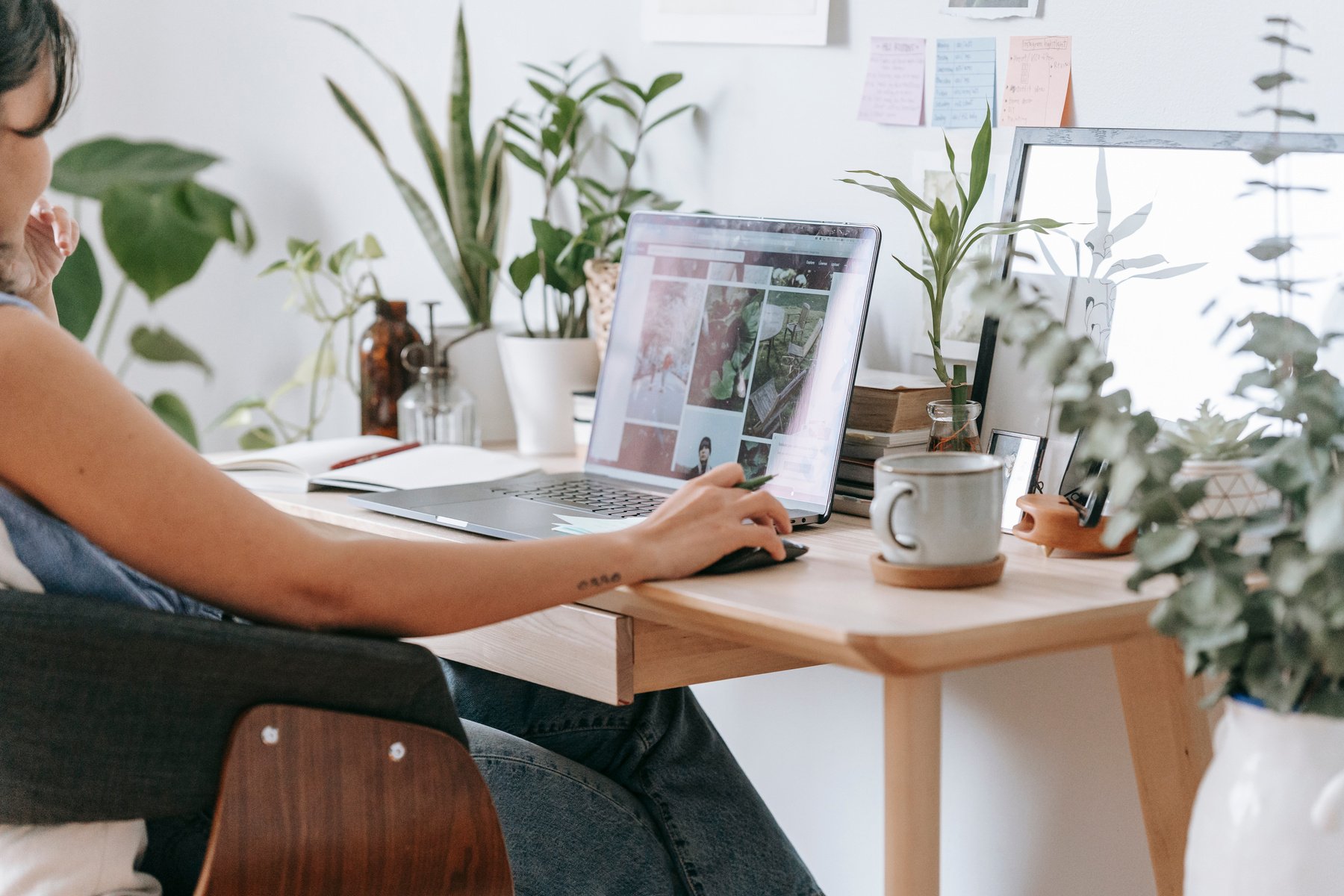 Focused woman working with laptop at table with potted plants